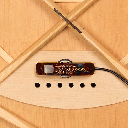 L.R. Baggs Lyric Microphone guitare acoustique