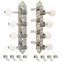 Machines Waverly Mandolin style F avec boutons ivoroïdes, nickel vif Machines Waverly Mandolin style F avec boutons ivoroïdes, nickel vif