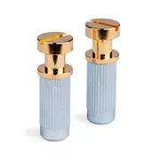 Jeu de goujons/coussinets pour Stop Tailpiece, doré