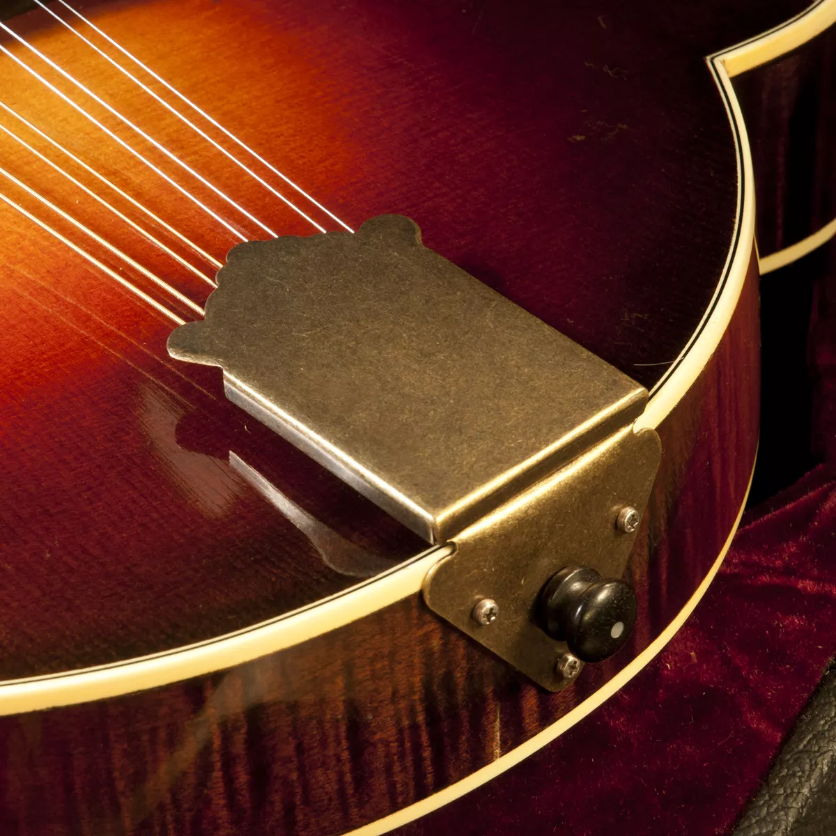 Golden Age Pièce arrière Mandolin Golden Age Pièce arrière Mandolin