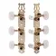 Tuners à guitare classique Gotoh style Lyra, or ancien, économie Tuners à guitare classique Gotoh style Lyra, or ancien, économie