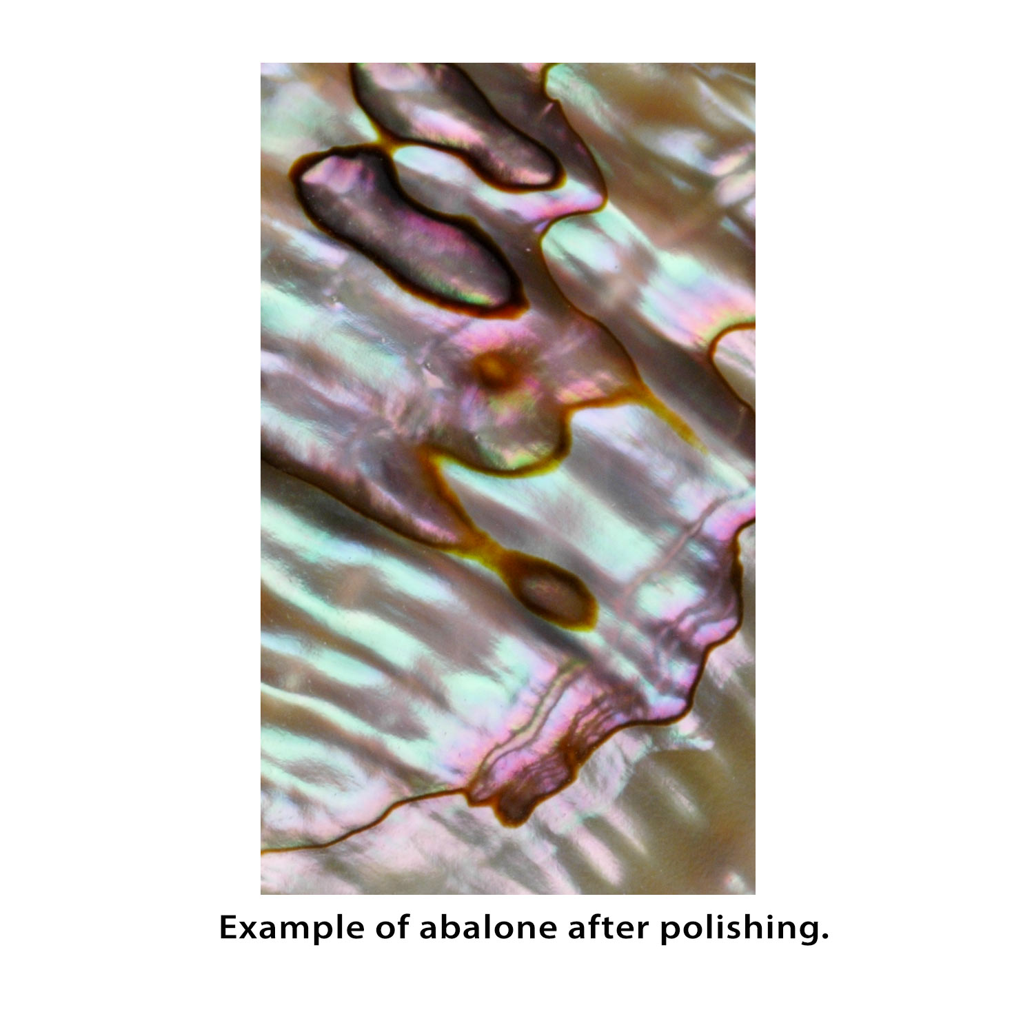 Couvertures incrustées de perles - Lot de 1oz