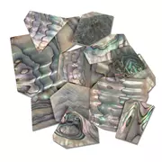 Couvertures incrustées de perles - Lot de 1oz , Ormeau vert