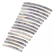 Vert, filet d’Abalone, courbe, 15