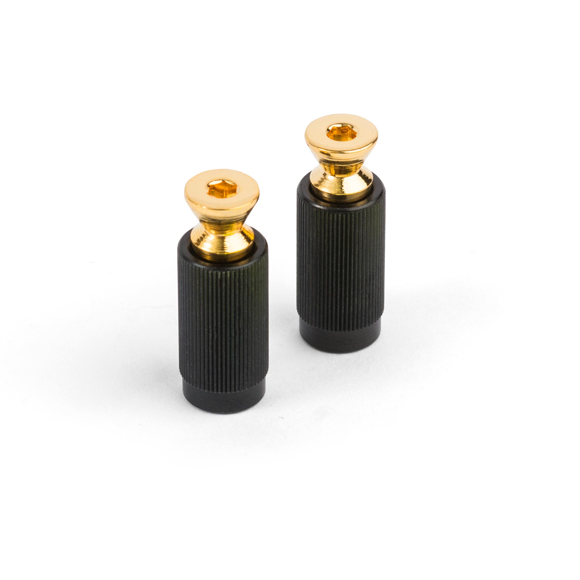 Floyd Rose Bridge Mounting Studs and Inserts