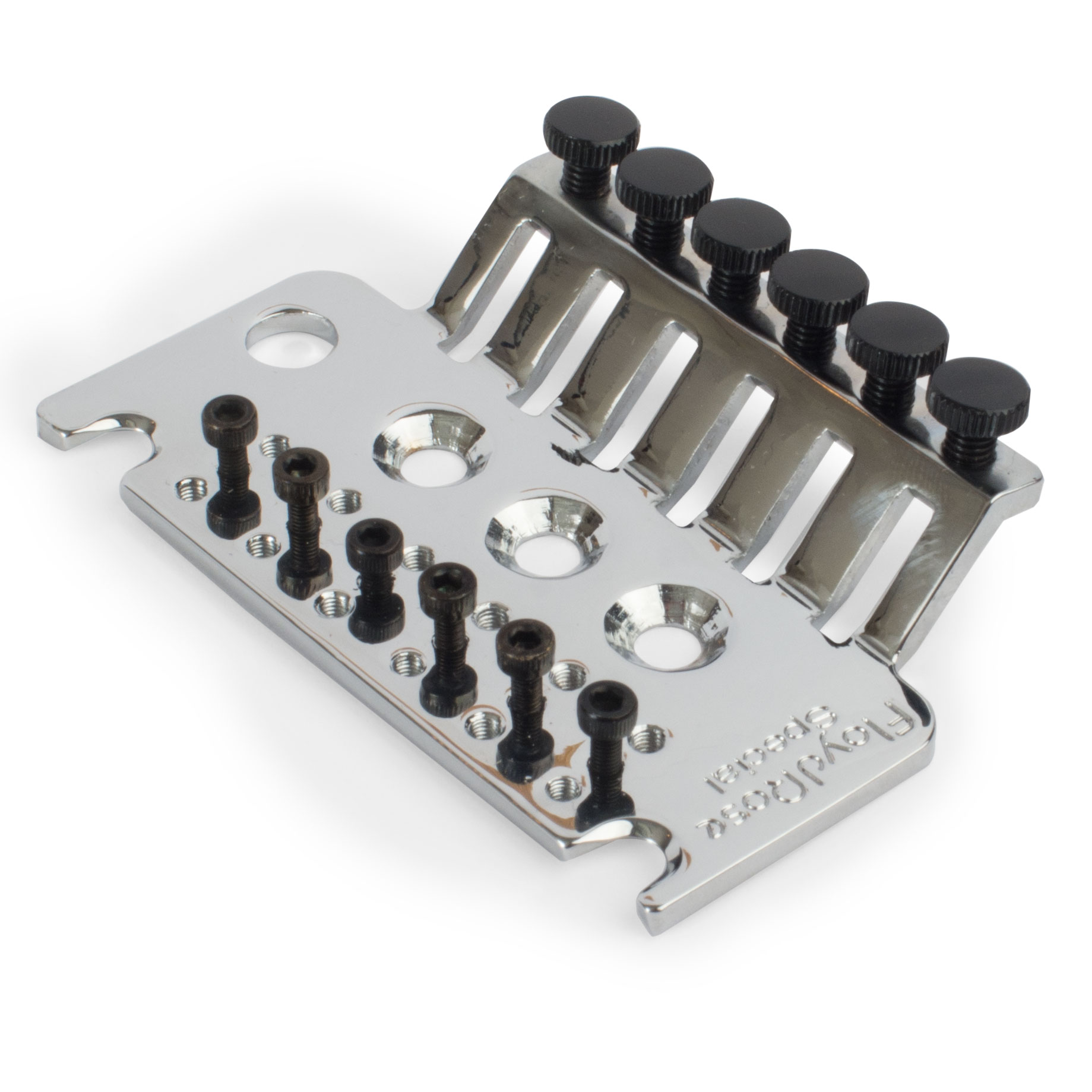 Plaque de base Floyd Rose Special Series avec vis