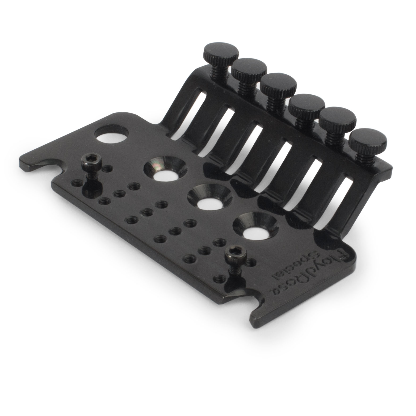 Plaque de base Floyd Rose Special Series avec vis