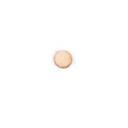 Pois d’érable, 5 mm (13/64