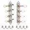 Golden Age Tuners Mandolin de style F, nickel satiné avec boutons de couleur blanche Golden Age Tuners Mandolin de style F, nickel satiné avec boutons de couleur blanche