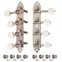 Golden Age Tuners Mandolin style F, nickel vif avec boutons à effet lioïde Golden Age Tuners Mandolin style F, nickel vif avec boutons à effet lioïde