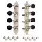 Golden Age Tuners Mandolin de style A, nickel satiné avec boutons noirs Golden Age Tuners Mandolin de style A, nickel satiné avec boutons noirs