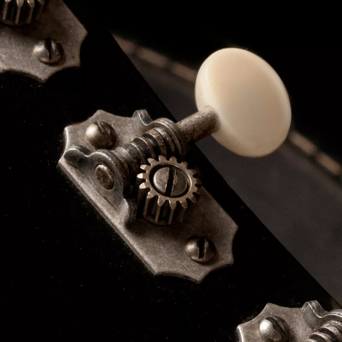 3,3 mécaniques de remplacement vintage Golden Age 3,3 mécaniques de remplacement vintage Golden Age