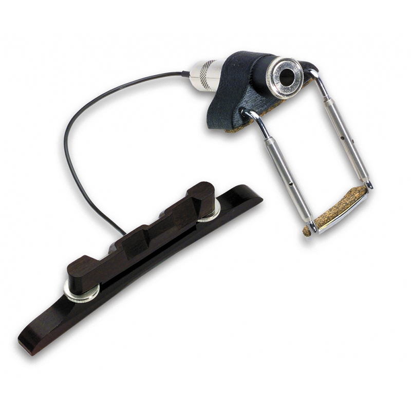 Enlèvement professionnel Fishman M-200 série Classic Mandolin Enlèvement professionnel Fishman M-200 série Classic Mandolin