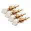 Piquets de réglage Waverly Banjo, Or, lot de 4 Piquets de réglage Waverly Banjo, Or, lot de 4