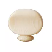 Boutons mécaniques Banjo, Galalith ivoroïde