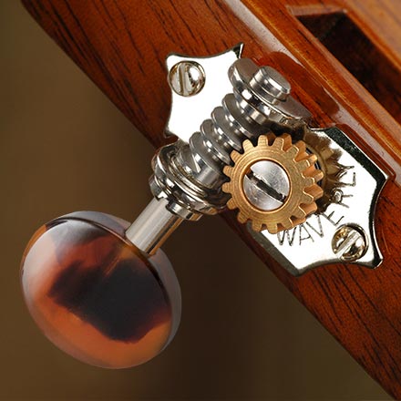 Tuniques à guitare Waverly avec boutons Tortoise foncée pour têtes à fente