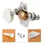Collection Waverly Anniversary en blanc, Coffret nickel Collection Waverly Anniversary en blanc, Coffret nickel
