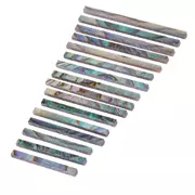 Paua, filet d’Abalone, droit, 15