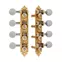 Tuners Waverly de mandoline type A avec boutons ivoroïdes, doré satiné Tuners Waverly de mandoline type A avec boutons ivoroïdes, doré satiné
