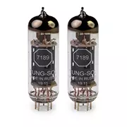 Tung-Sol 7189 tube de puissance, paire correspondante
