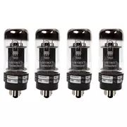 Tube Amp Doctor 5881 WXT , tube de puissance, quad apparié