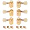 Tuners sans col Kluson 3,3 Locking Revolution série G, dorés Tuners sans col Kluson 3,3 Locking Revolution série G, dorés