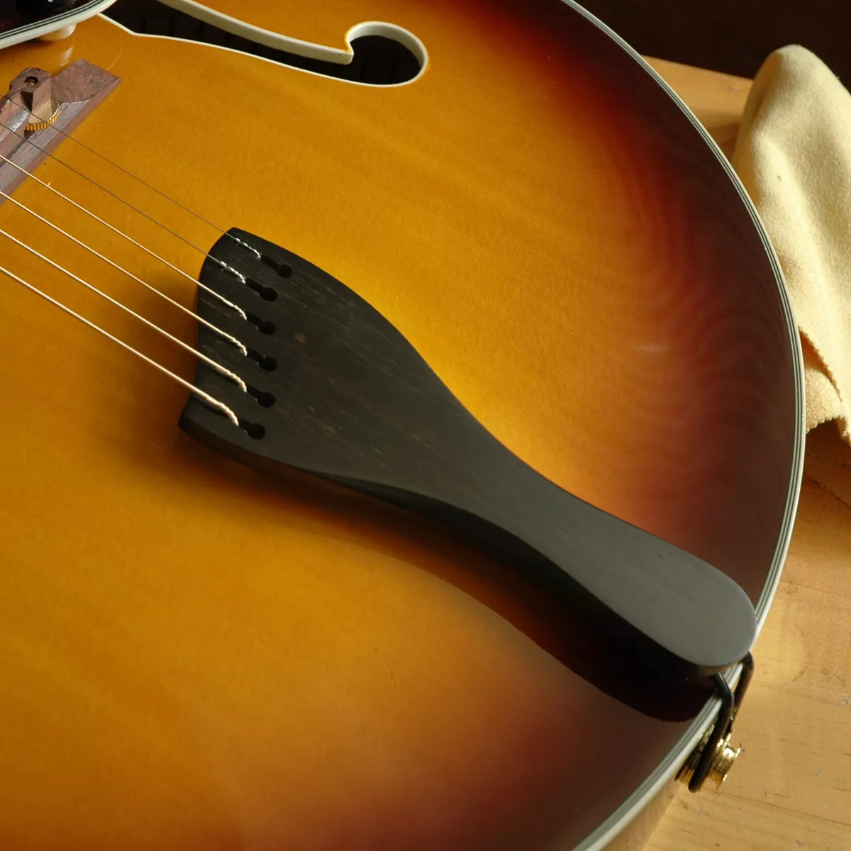 Pièce arrière Benedetto Archtop Pièce arrière Benedetto Archtop