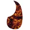 Pickguard de guitare acoustique OM, brun vintage Tortoise Pickguard de guitare acoustique OM, brun vintage Tortoise