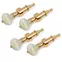 Piquets de réglage Banjo Five-Star, bouton nacré vintage sur or, lot de 4 Piquets de réglage Banjo Five-Star, bouton nacré vintage sur or, lot de 4