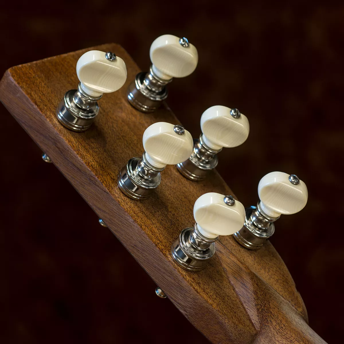 Piquets de réglage Rickard Cyclone High Ratio pour guitare avec boutons ivoroïdes, lot de 6 Piquets de réglage Rickard Cyclone High Ratio pour guitare avec boutons ivoroïdes, lot de 6