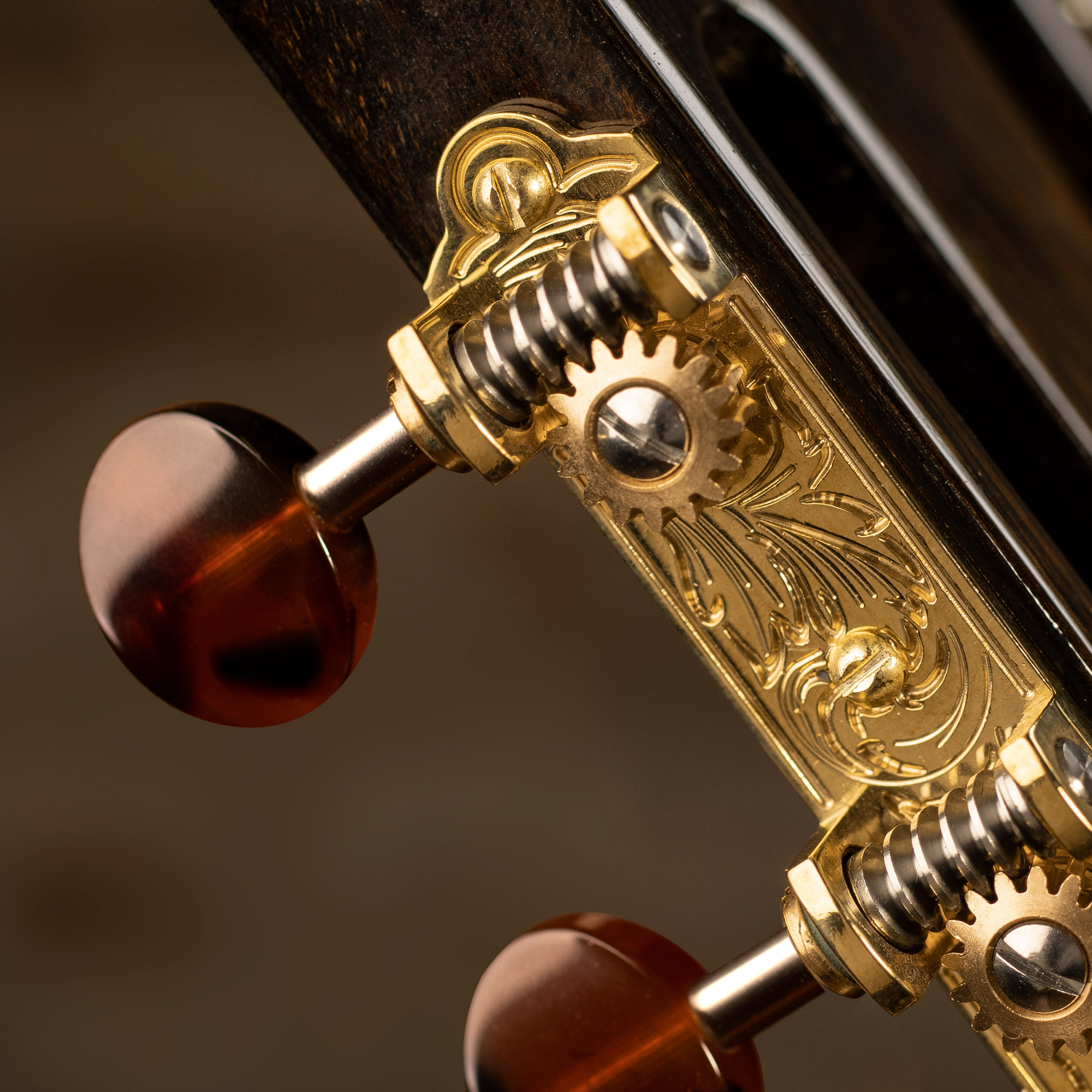 Tuners de guitare Waverly 3-On-Plate avec boutons Tortoise foncée pour têtes d’accrochage fendues