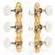 Tuners à guitare classiques Sloane avec boutons ivoroïdes et embases déco, laiton brillant, rouleaux blancs Tuners à guitare classiques Sloane avec boutons ivoroïdes et embases déco, laiton brillant, rouleaux blancs