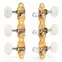 Tuners à guitare classiques Sloane avec boutons perlés et embases déco, laiton brillant, rouleaux blancs Tuners à guitare classiques Sloane avec boutons perlés et embases déco, laiton brillant, rouleaux blancs