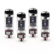 Tube Amp Doctor 6L6GCM-STR , tube de puissance, quadruple