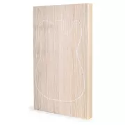 Corps Swamp Ash blanc pour haut laminé, 2-Piece