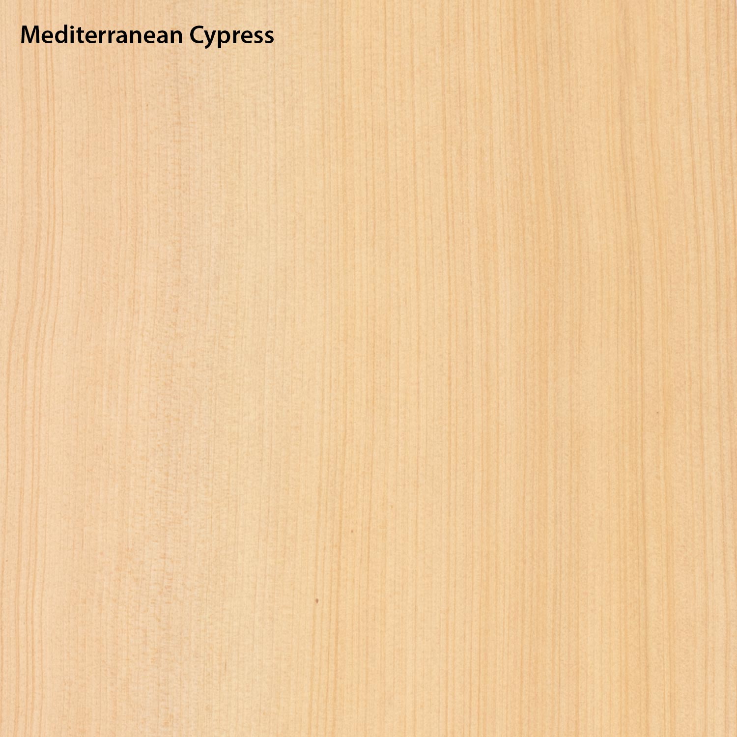 Offres spéciales sur le moulin à scie – Ensembles acoustiques à l’arrière et sur les côtés, AA Flamenco, non poncé