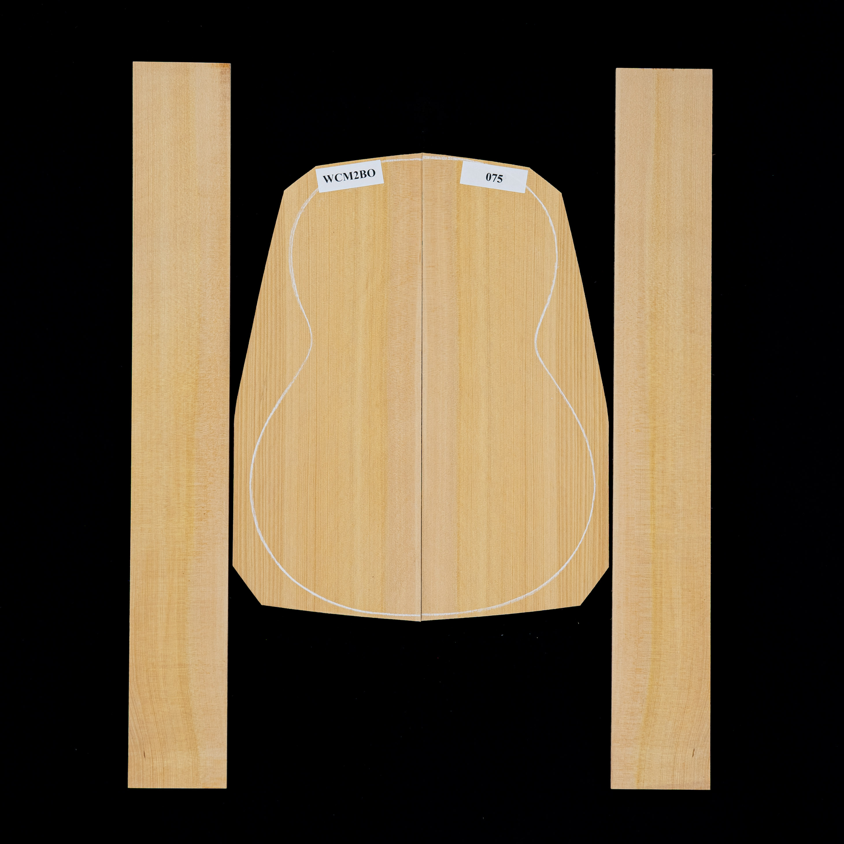 Ensemble dos et côtés cyprès méditerranéen - 075 Ensemble dos et côtés cyprès méditerranéen - 075