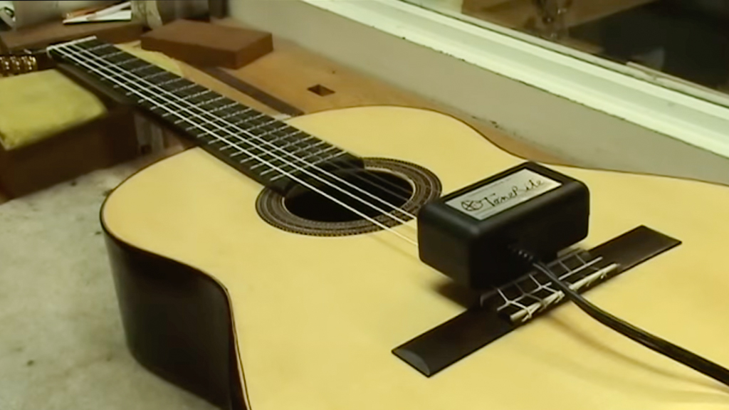 Tonerite - Sac courrier Luthier Tips du Jour