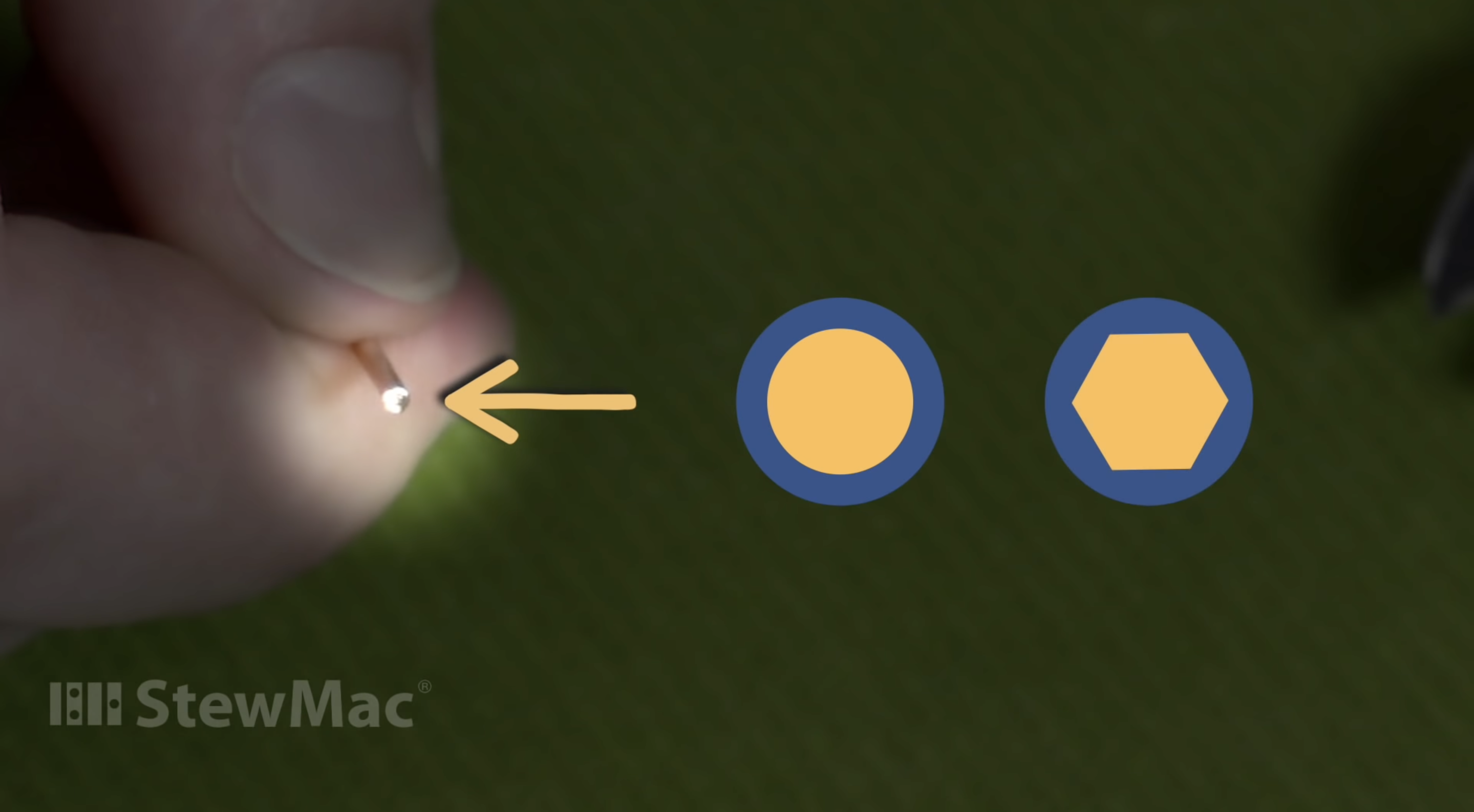 La forme du noyau des basses ou des cordes de la plaie