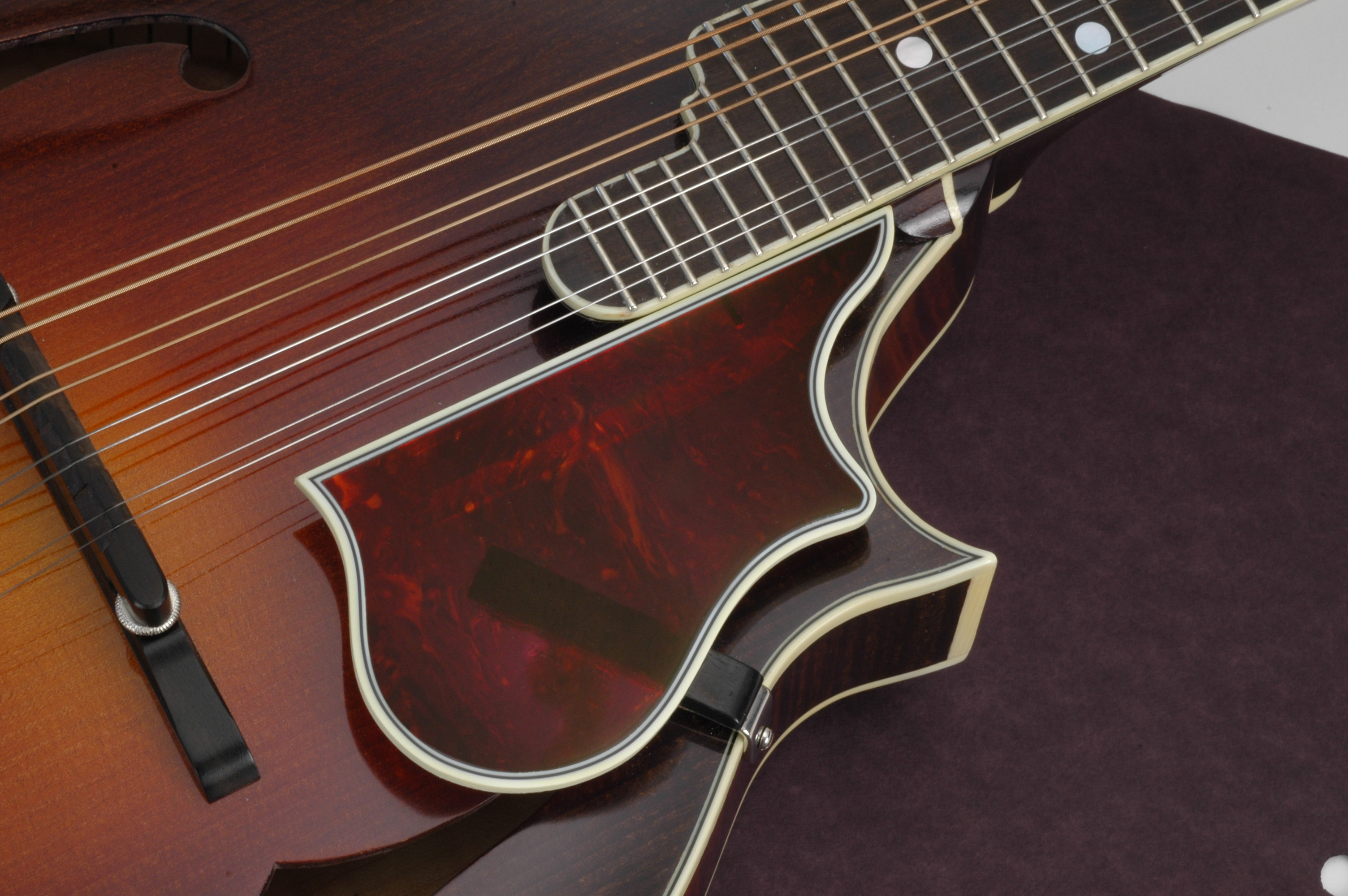 Liaison d’un pickguard de mandoline