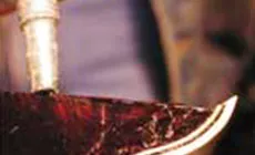 Ajout de la colle Bind-ALL