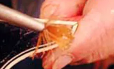 Brossage de l’acétone