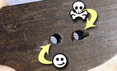 Photo : trous lisses/rugissés