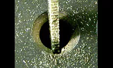 J’ai vu tes fentes de corde 1