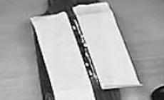 Économiseur de pont