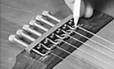 Économiseur de pont