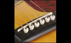 Bande dessinée : Possum