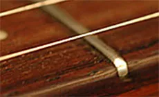 Gros plan sur Barfret