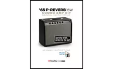 Instructions P-Reverb 15 W  Kit de Amplificador '65