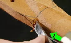 Réalisation de la coupe n° 2